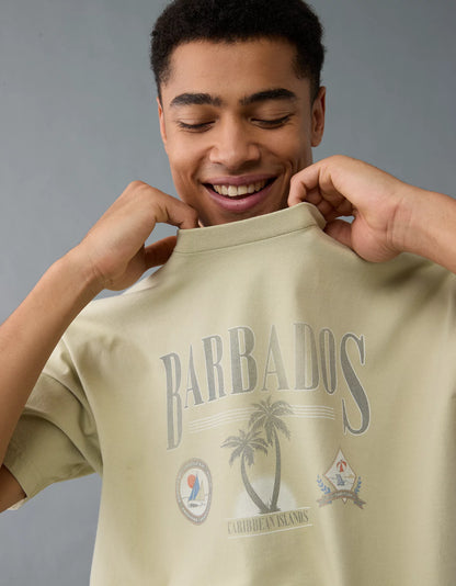 American Eagle Boxy Fit T-Shirt